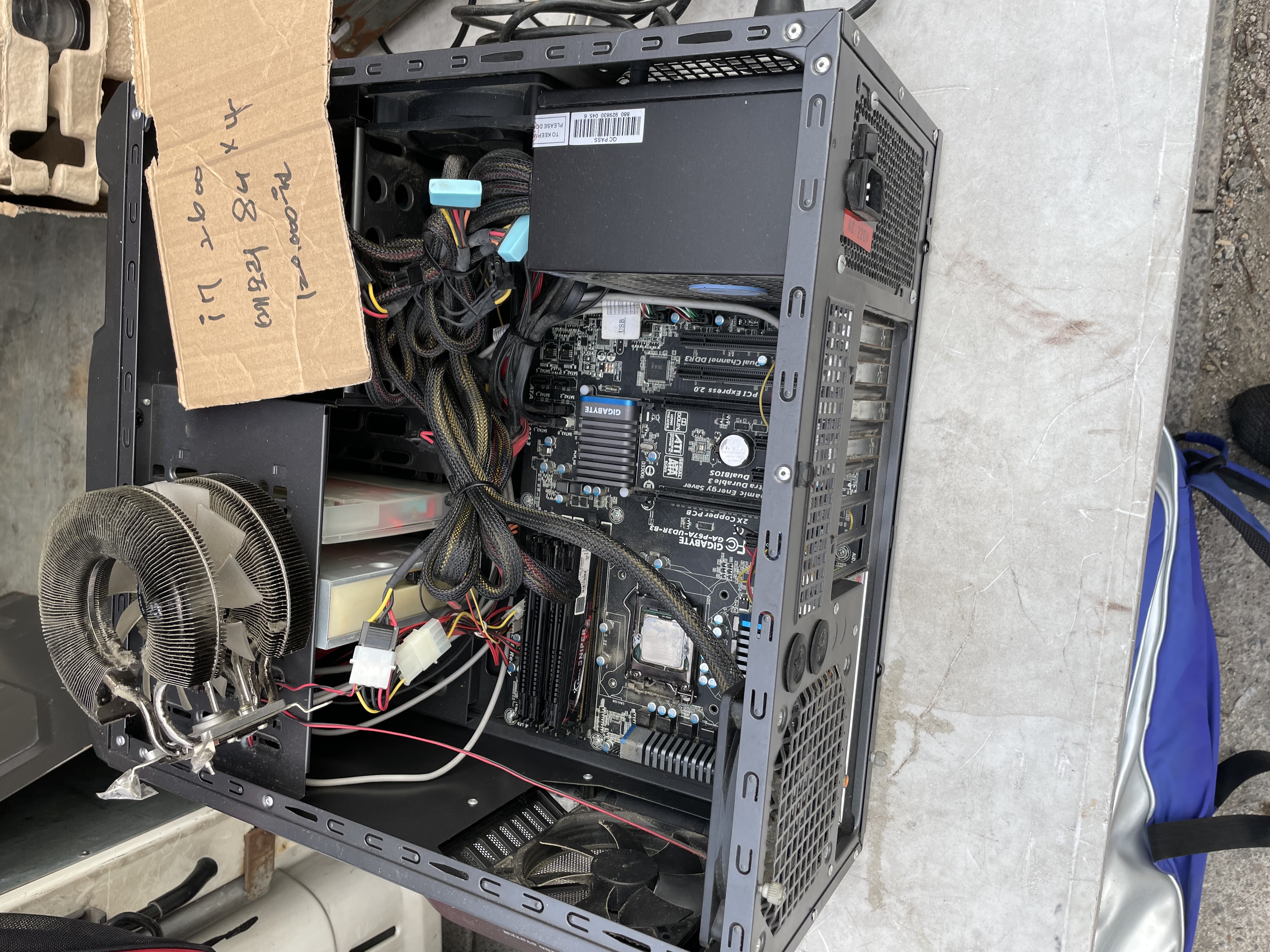 Intel